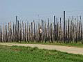 MG Openingsrit op 25-3-2012 (144)